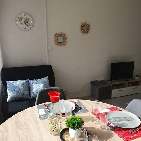 Appt Cosy Hypercentre 2-3p Апартаменти Агд