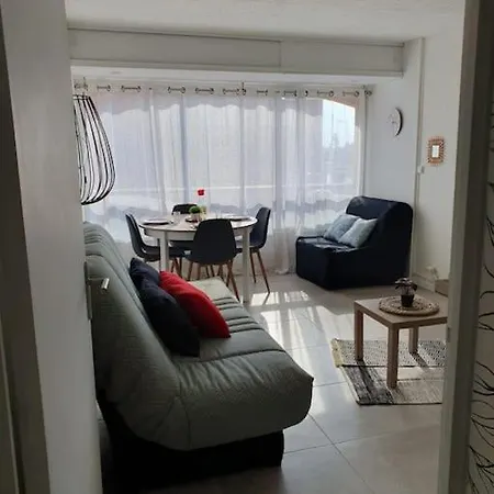 Appt Cosy Hypercentre 2-3p Апартаменти Агд