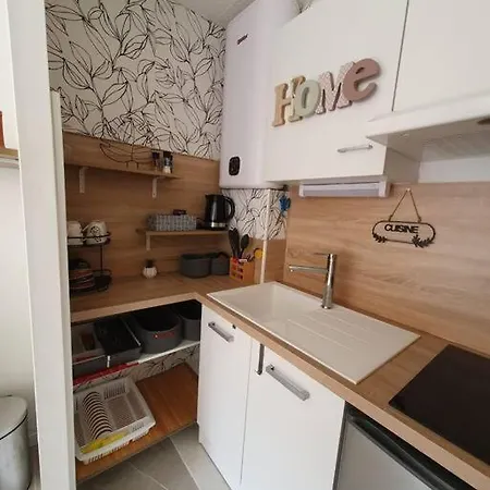 Appt Cosy Hypercentre 2-3p Апартаменти Агд