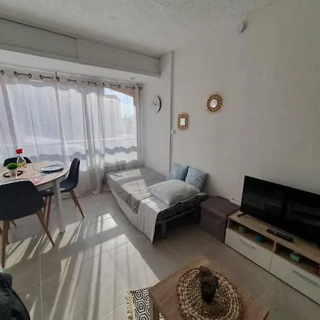 Апартаменти Appt Cosy Hypercentre 2-3p Агд