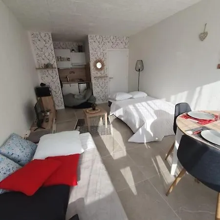 Апартаменти Appt Cosy Hypercentre 2-3p Агд